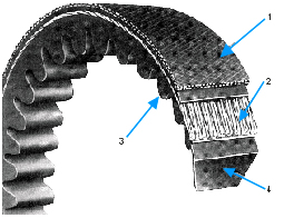 A cutaway of a cogged metric power belt, the notches moulded into its underside and its layers numbered. A cutaway of a cogged metric power belt, the notches moulded into its underside and its layers numbered.