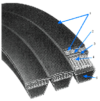 A cutaway of a banded V belt, three belts joined under one top band, with the layers numbered. A cutaway of a banded V belt, three belts joined under one top band, with the layers numbered.