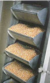 Buckets bolted to an elevator belt, each one carrying grain as it rises. Buckets bolted to an elevator belt, each one carrying grain as it rises.