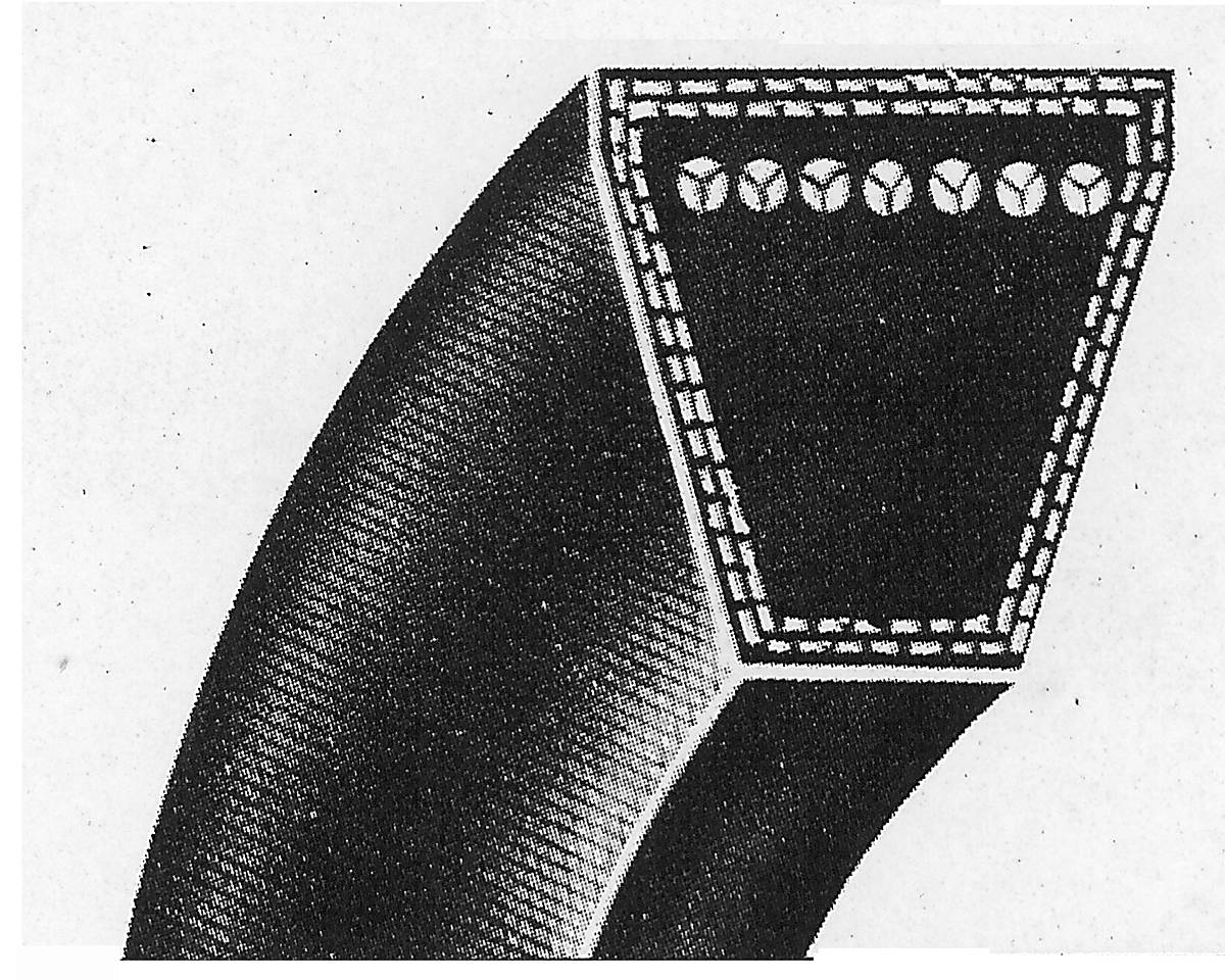 A wedge section V belt drawn in cutaway, the cord line running through the middle of the section.