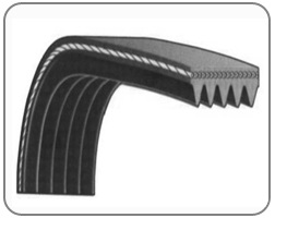 A poly V belt bent back to show the ribs on its inner face.