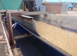 Rubber skirtboard holding the load on a conveyor carrying grain.